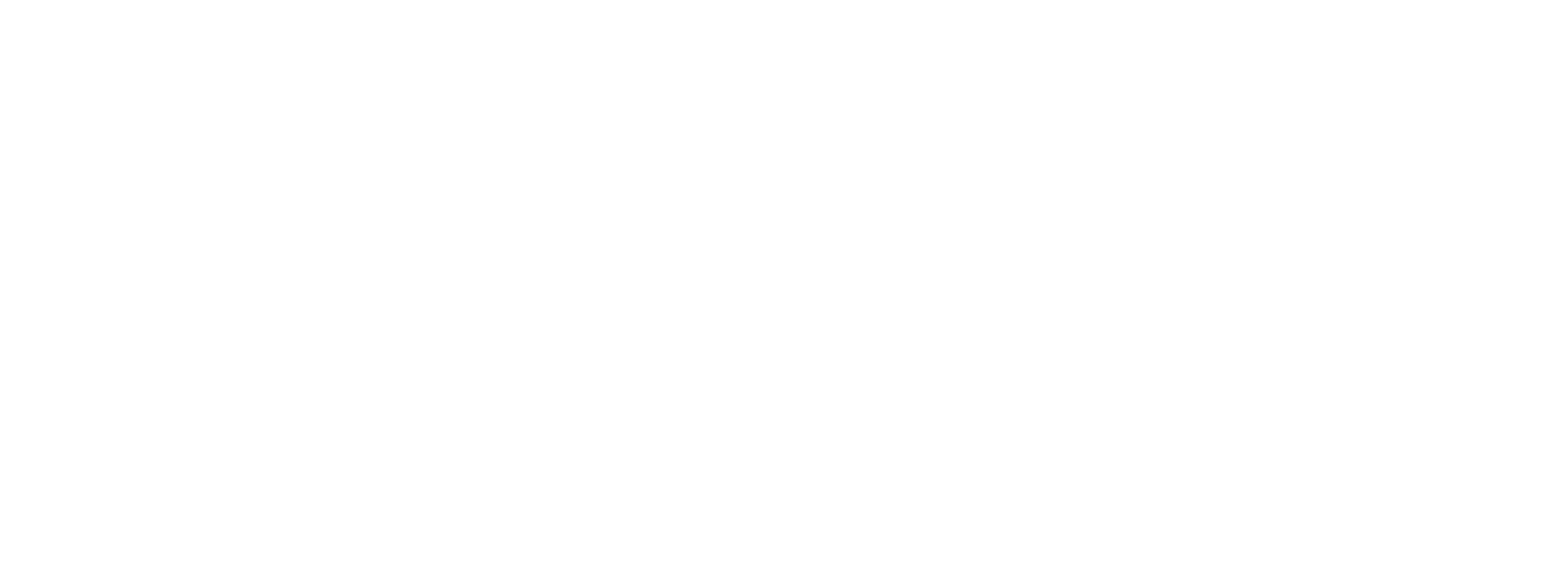Ligue Nationale Alzheimer Liga